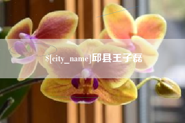 十堰邱县王子磊