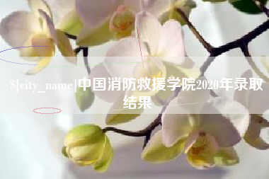 十堰中国消防救援学院2020年录取结果