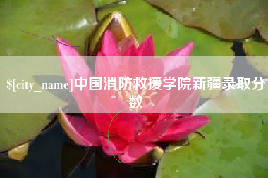 十堰中国消防救援学院新疆录取分数