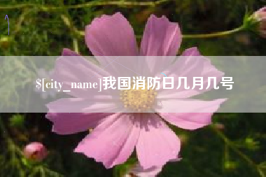 十堰我国消防日几月几号