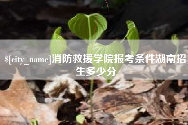 十堰消防救援学院报考条件湖南招生多少分