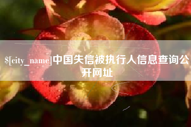 十堰中国失信被执行人信息查询公开网址