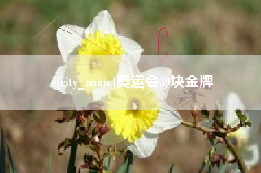 十堰奥运会39块金牌