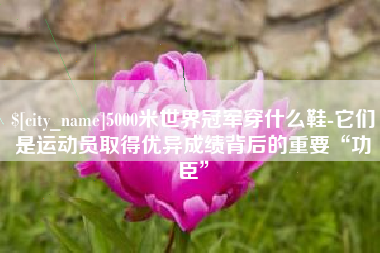 十堰5000米世界冠军穿什么鞋-它们是运动员取得优异成绩背后的重要“功臣”