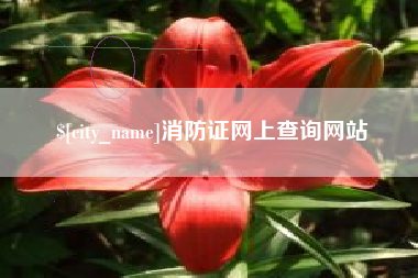 十堰消防证网上查询网站