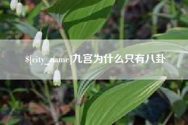 十堰九宫为什么只有八卦