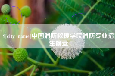 十堰中国消防救援学院消防专业招生简章