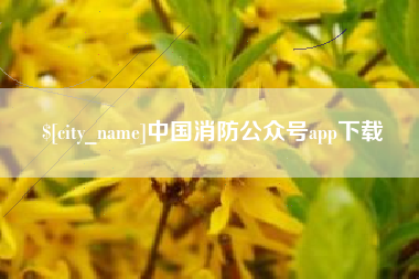 十堰中国消防公众号app下载