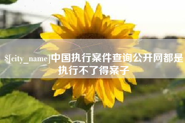 十堰中国执行案件查询公开网都是执行不了得案子