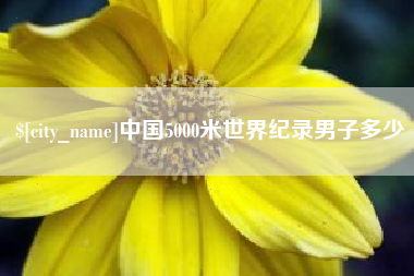 十堰中国5000米世界纪录男子多少