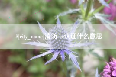十堰消防ccc认证什么意思