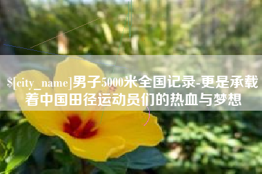十堰男子5000米全国记录-更是承载着中国田径运动员们的热血与梦想