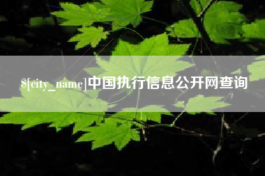 十堰中国执行信息公开网查询