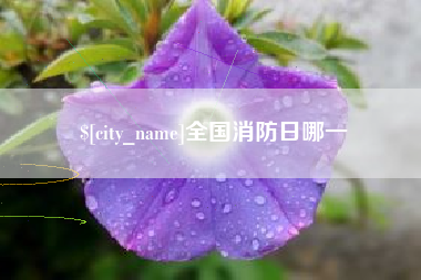 十堰全国消防日哪一