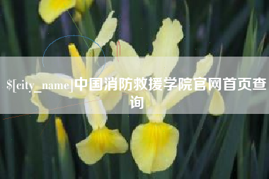 十堰中国消防救援学院官网首页查询