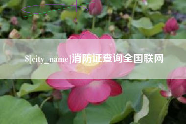 十堰消防证查询全国联网