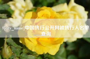 十堰中国执行公开网被执行人名单查询