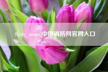 十堰中国消防网官网入口