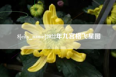十堰2022年九宫格飞星图