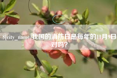 十堰我国的消防日是每年的11月9日对吗？