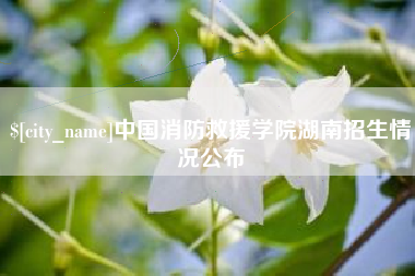 十堰中国消防救援学院湖南招生情况公布