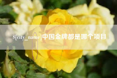 十堰中国金牌都是哪个项目