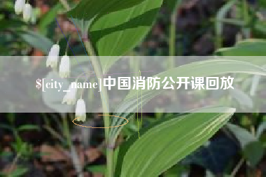 十堰中国消防公开课回放