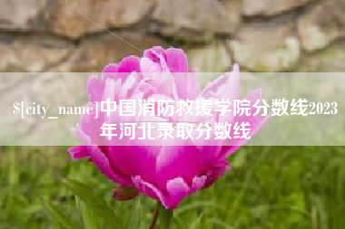 十堰中国消防救援学院分数线2023年河北录取分数线