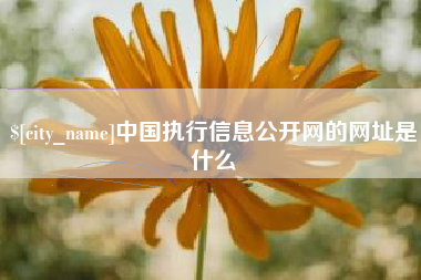 十堰中国执行信息公开网的网址是什么