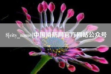 十堰中国消防网官方网站公众号