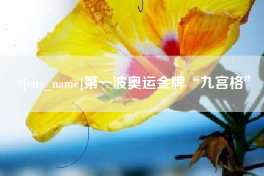十堰第一波奥运金牌“九宫格”
