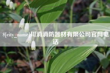 十堰川消消防器材有限公司官网电话