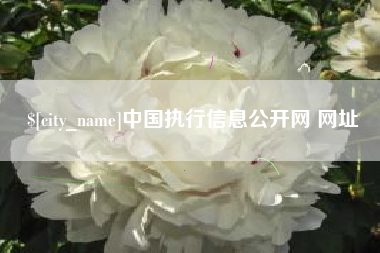 十堰中国执行信息公开网 网址