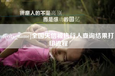 十堰全国失信被执行人查询结果打印流程