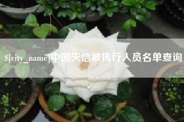 十堰中国失信被执行人员名单查询