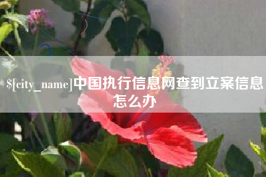 十堰中国执行信息网查到立案信息怎么办