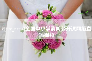十堰全国中小学消防公开课网络直播视频