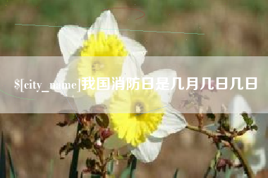 十堰我国消防日是几月几日几日