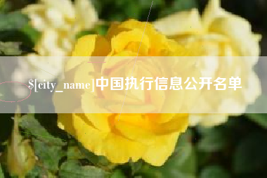 十堰中国执行信息公开名单