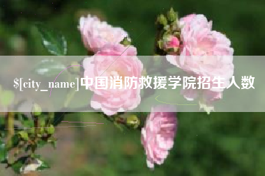 十堰中国消防救援学院招生人数