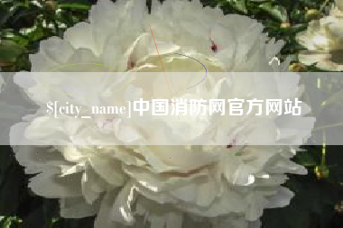 十堰中国消防网官方网站