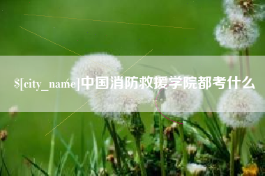 十堰中国消防救援学院都考什么