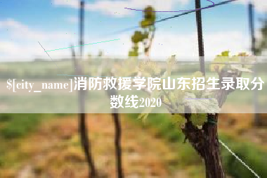 十堰消防救援学院山东招生录取分数线2020