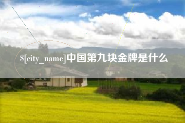 十堰中国第九块金牌是什么