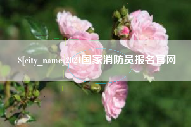 十堰2021国家消防员报名官网