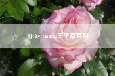 十堰王子豪百科
