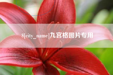 十堰九宫格图片专用