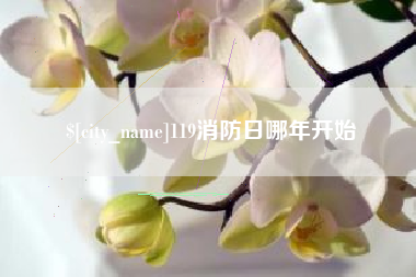 十堰119消防日哪年开始