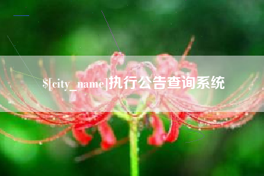 十堰执行公告查询系统