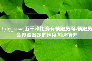 十堰五千米比赛有领跑员吗-领跑员会按照既定的速度匀速前进